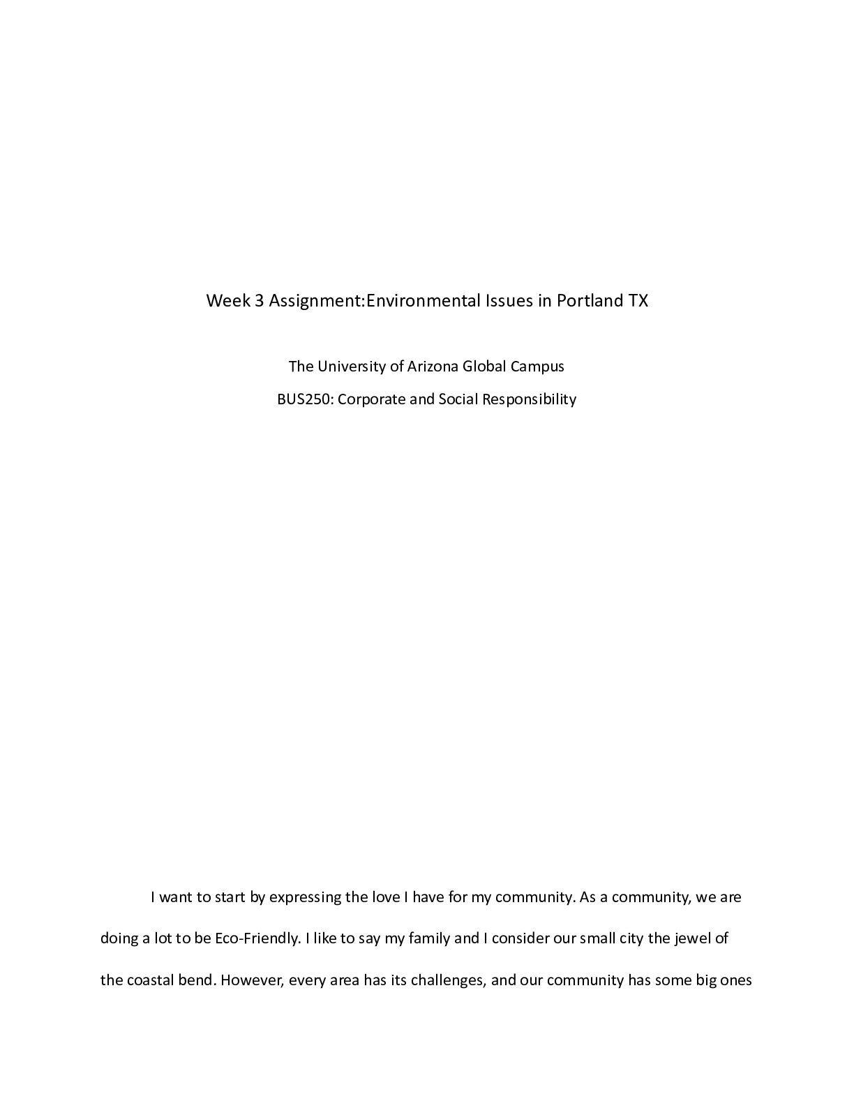 Preview image of BUS250 Assignment Week 3 PT 1.docx document